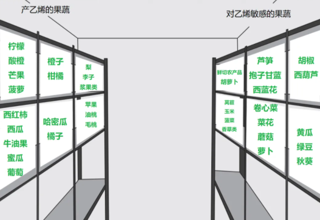 放冰箱？怎样存放更健康？一文了解→尊龙凯时新版APP首页哪些果蔬适合
