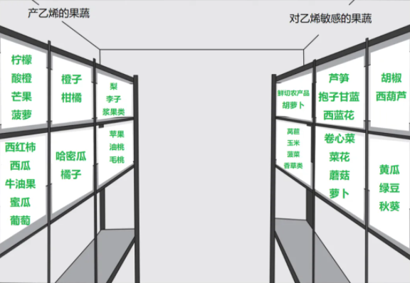 放冰箱？怎样存放更健康？一文了解→尊龙凯时新版APP首页哪些果蔬适合(图3)