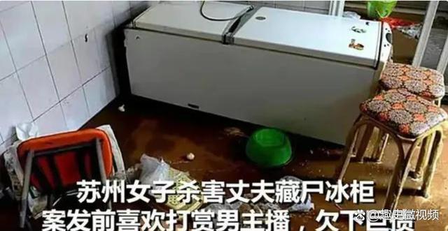 踪岳母来帮女儿做清洁打开冰柜魂飞魄散人生就是搏2023年安徽新郎神秘失