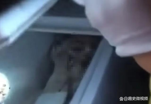 踪岳母来帮女儿做清洁打开冰柜魂飞魄散人生就是搏2023年安徽新郎神秘失(图4)