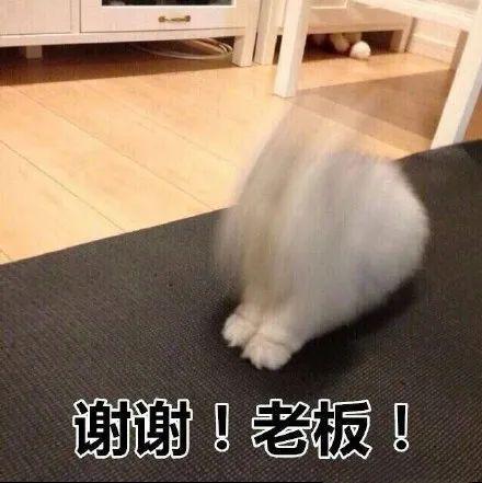 孩脸缝38针！只因夏天在冰箱放了这些东西！尊龙凯时新版APP首页冰箱突然爆炸！6岁男(图10)