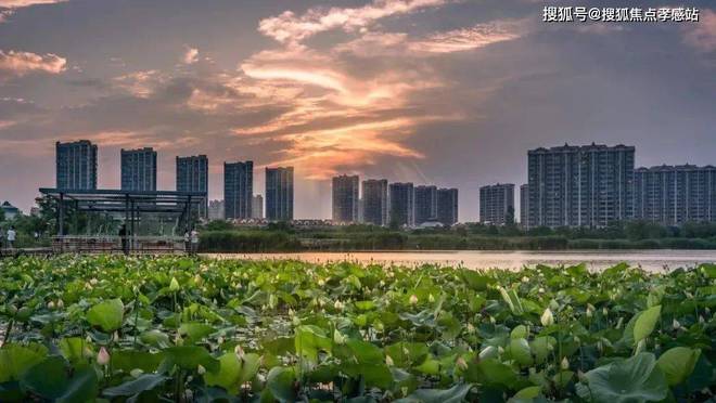 站)留香园售楼处电话-大华星曜楼盘详情尊龙凯时网站绿城·留香园(2025年网(图11)